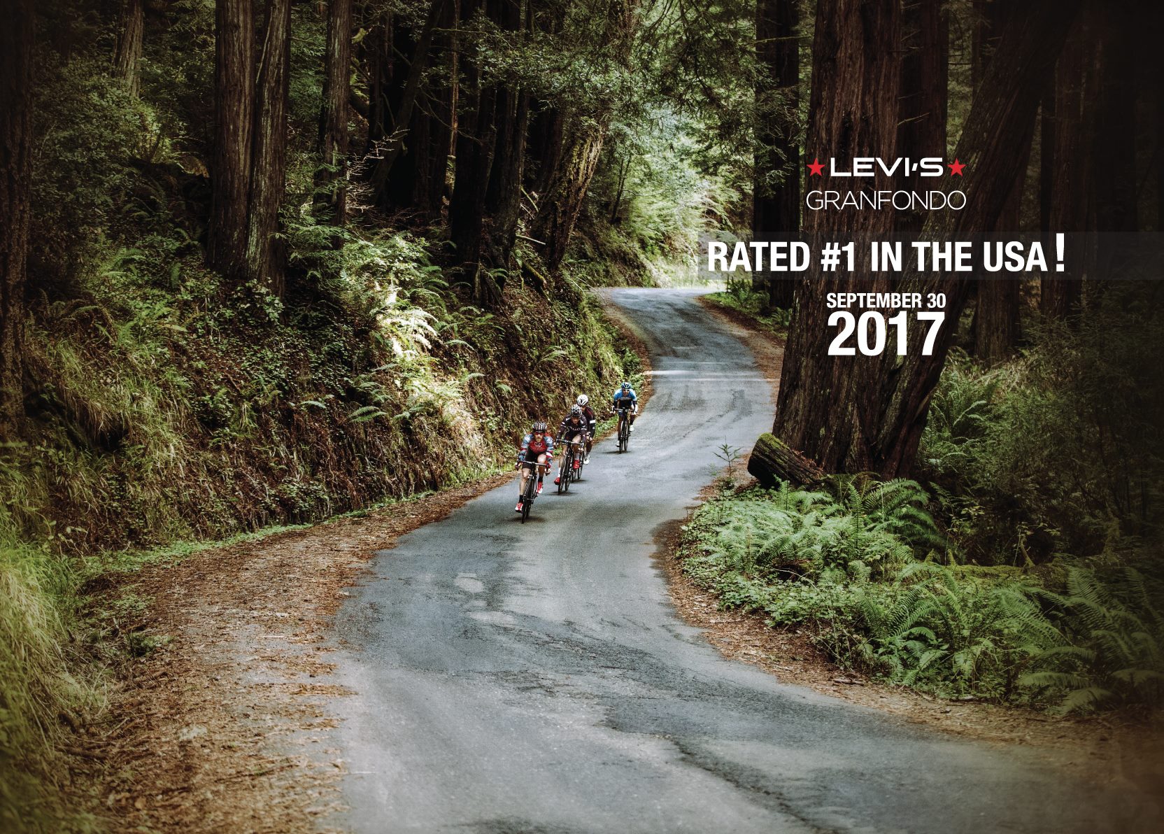 Levi s GranFondo Great support views and vibe velofix
